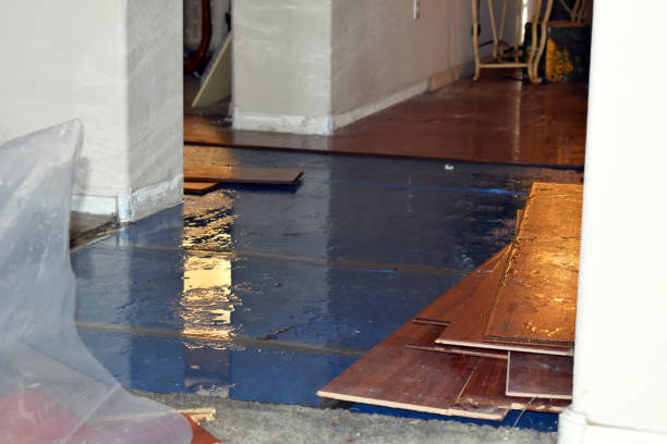 Professional Burst Pipe Cleanup technician working in Carver, MA